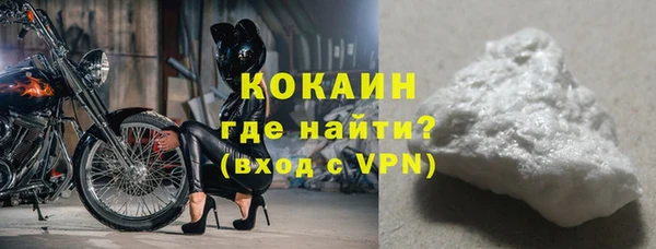 гидра Няндома
