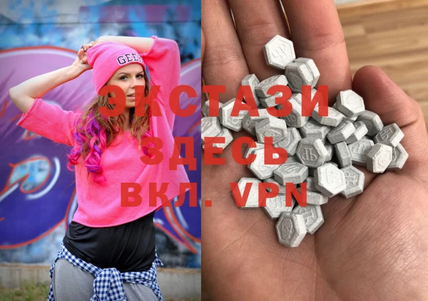 гидра Няндома