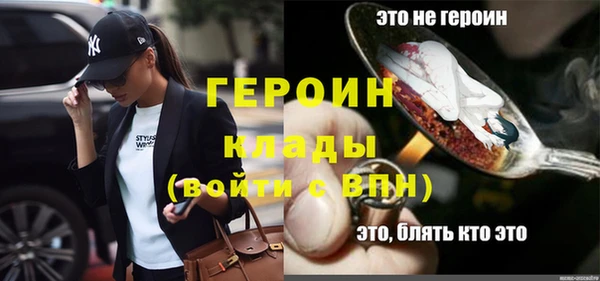 гидра Няндома