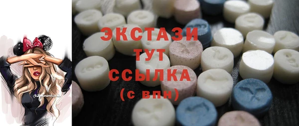 гидра Няндома