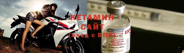 гидра Няндома