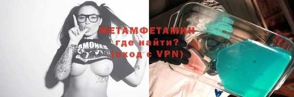 гидра Няндома