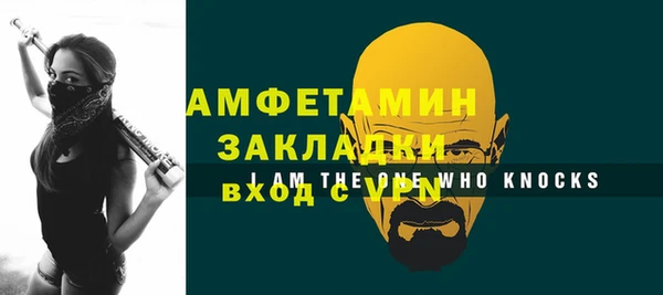 гидра Няндома