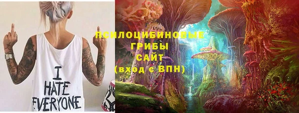 гидра Няндома