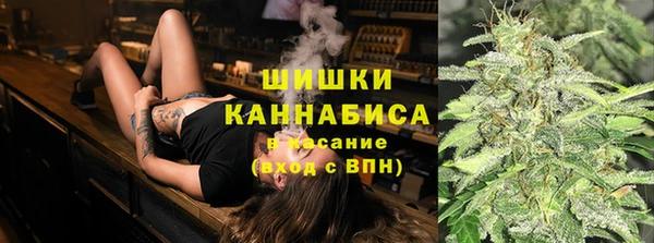 гидра Няндома
