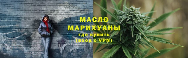 гидра Няндома